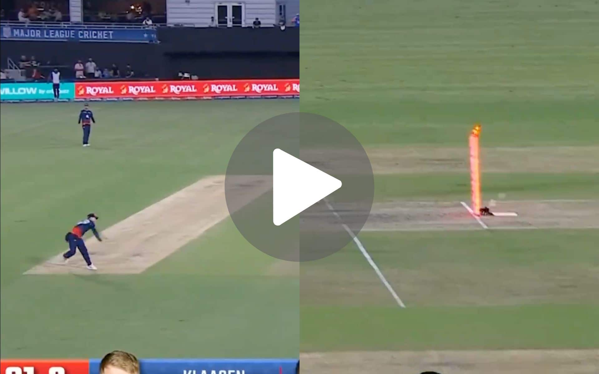 [Watch] Steve Smith's Incredible Direct Hit Runs Out USA Batter By Barest Margin In MLC 2024